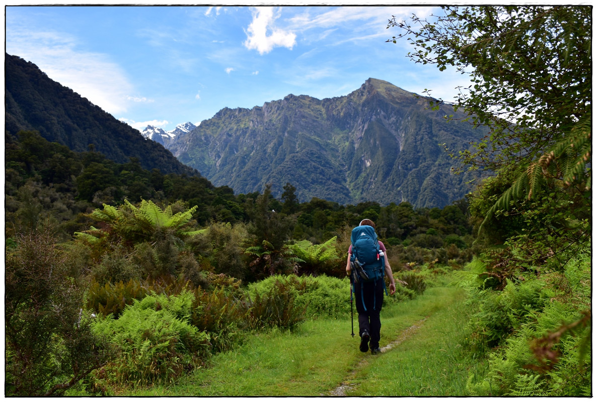 West Coast: Copland Track (diciembre 2021) - Escapadas y rutas por la Nueva Zelanda menos conocida (4)