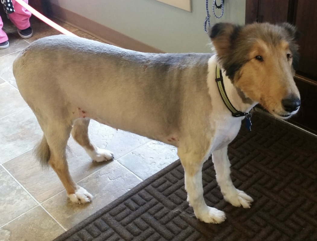 CCE77C02-2CBE-4CC8-BDFA-71EB4AA06AD6