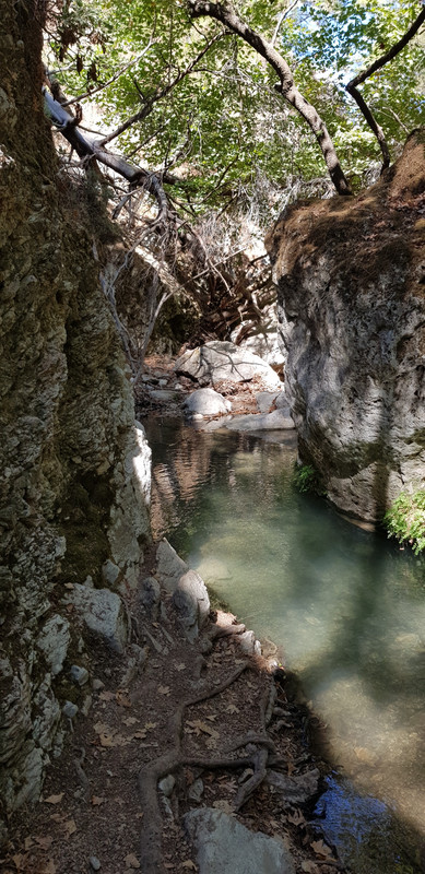 046 - 20211003_113724