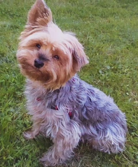 [Image: 131895638-1149030872161346-4577738798078017191-n.png]