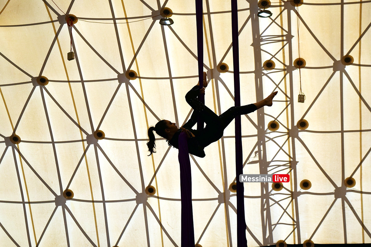 ΑΕΡΙΑΛDSC_0843