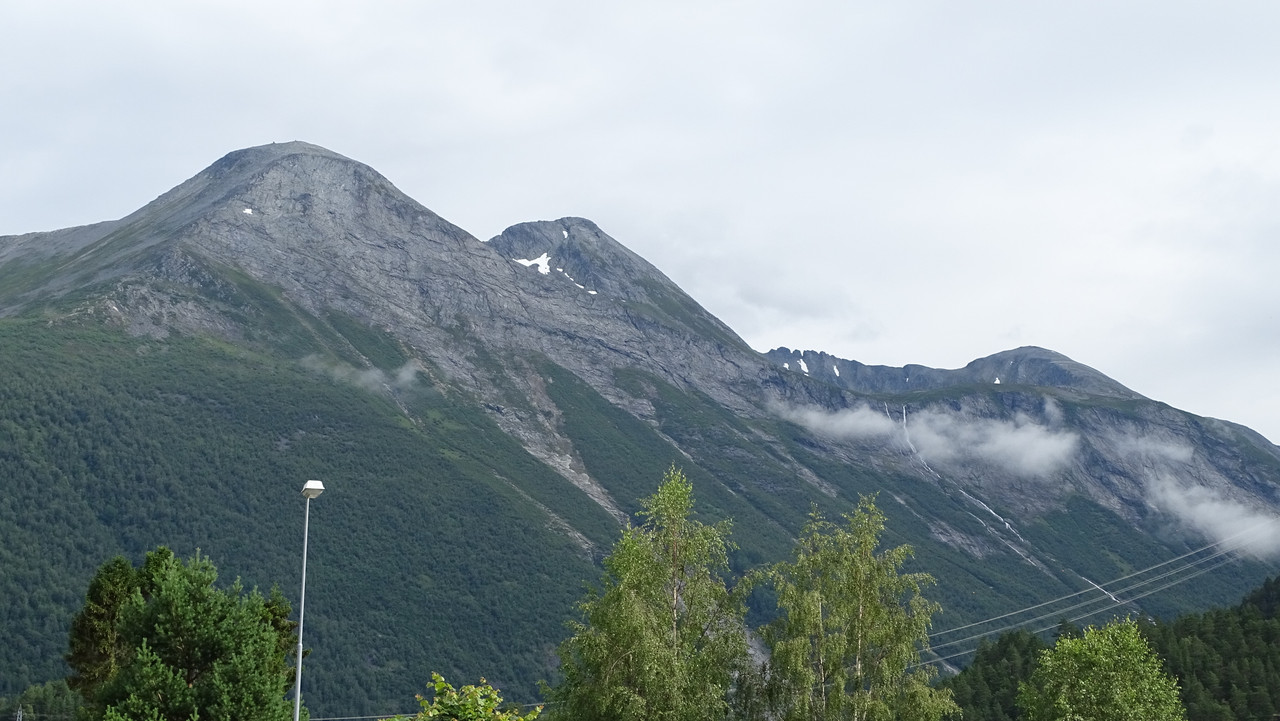 DSC01005.jpg