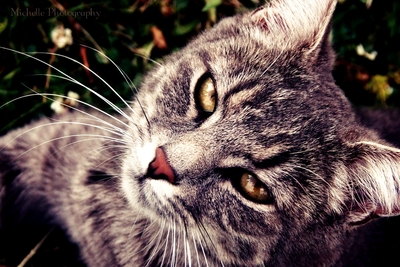 ezgif-com-gif-maker-11.jpg