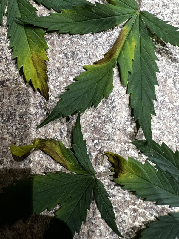 E57C09CC-BD25-4920-9055-879D2CE7FCD6