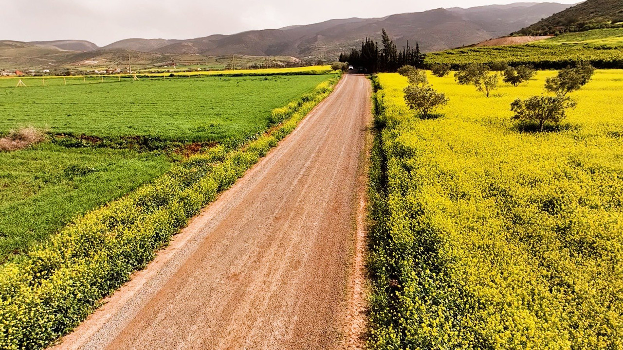 647010145-122174329478792190-3104917514433509922-n