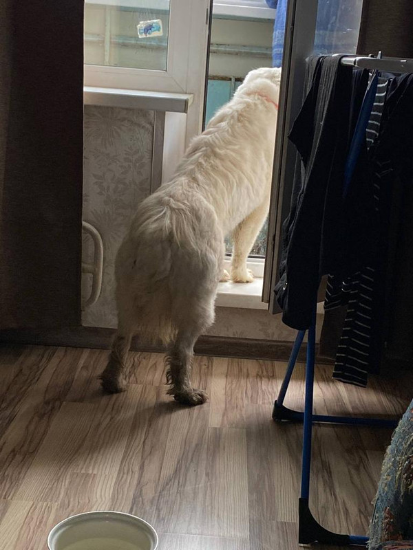 0E680A64-6C8B-4920-A006-68C665B8D80D