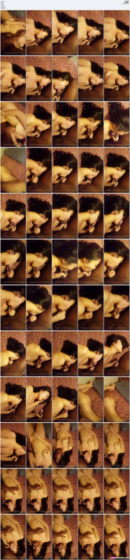 Asian88 Telegram 5896