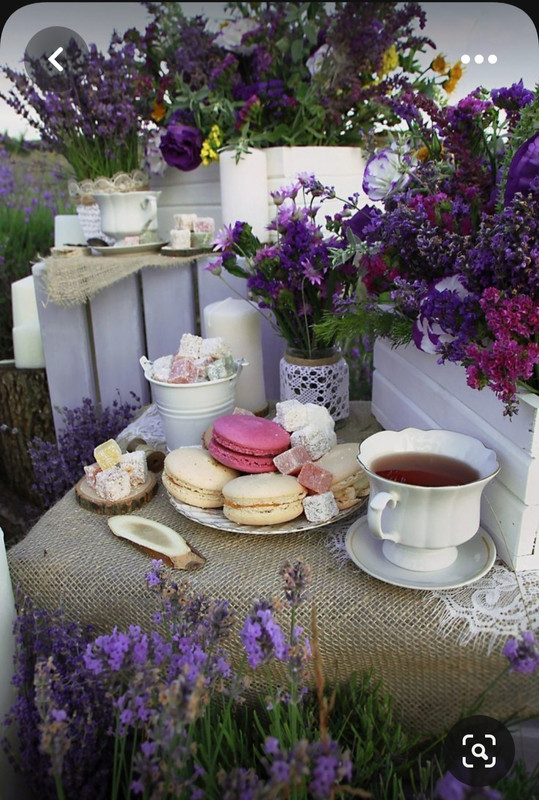 Screenshot_20230616_131814_Pinterest