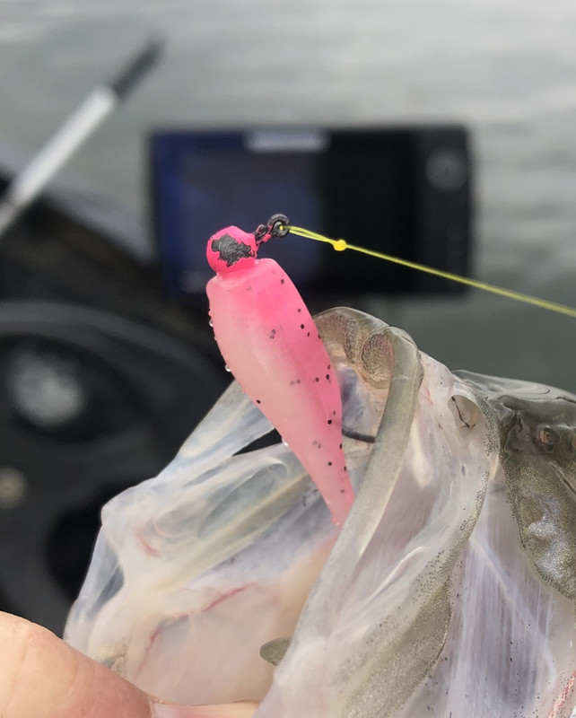 B5FCCB87-2B04-4C21-BA1D-87F580D0F365