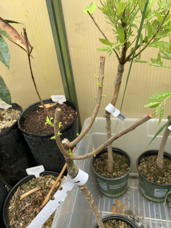 50700F55-85BA-47B4-8C30-F8B24582681C