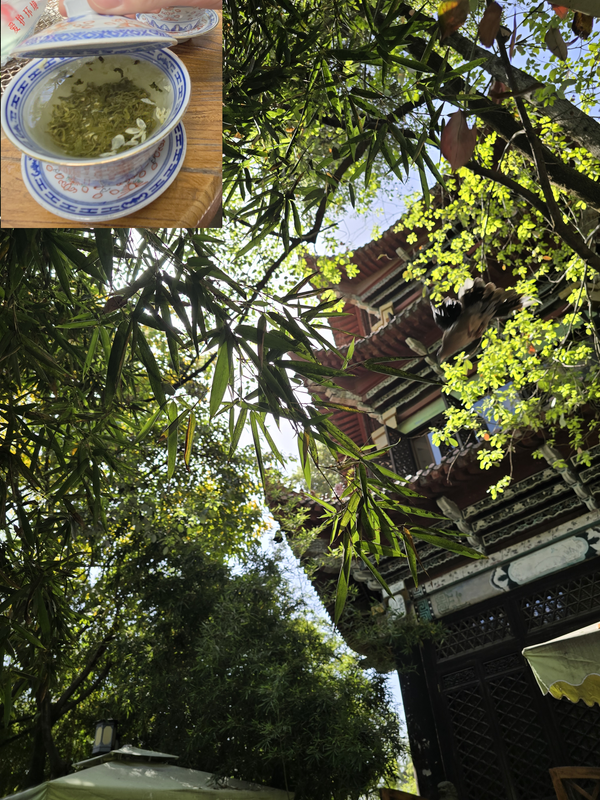 templetea