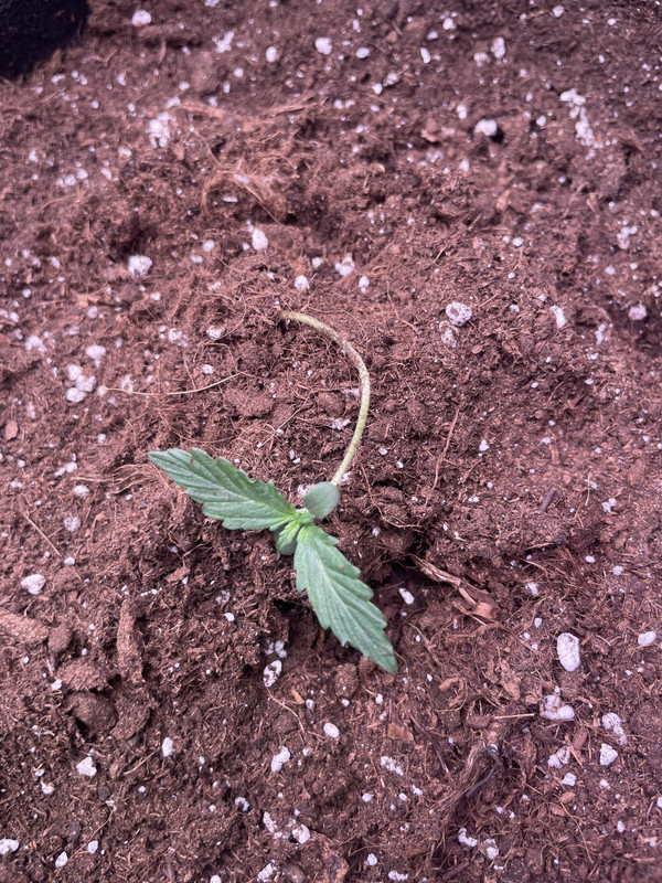 05162B48-2BFA-40E2-B2D5-3149AFB3B003