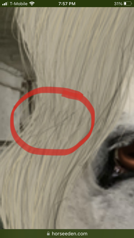 25820013-6FCC-4801-9599-DC915FBBE252