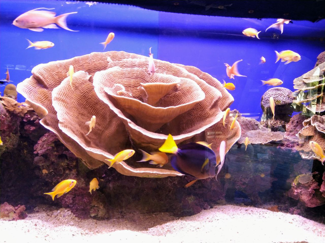 FED7DEE2-0766-49EF-8BFF-C05061F40AD0