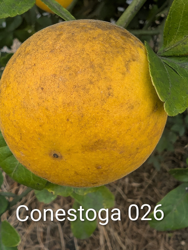 PXL_20251014_161040054~2