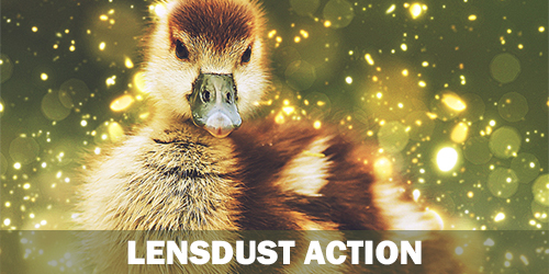 Dark Fantasy Photoshop Action - 85