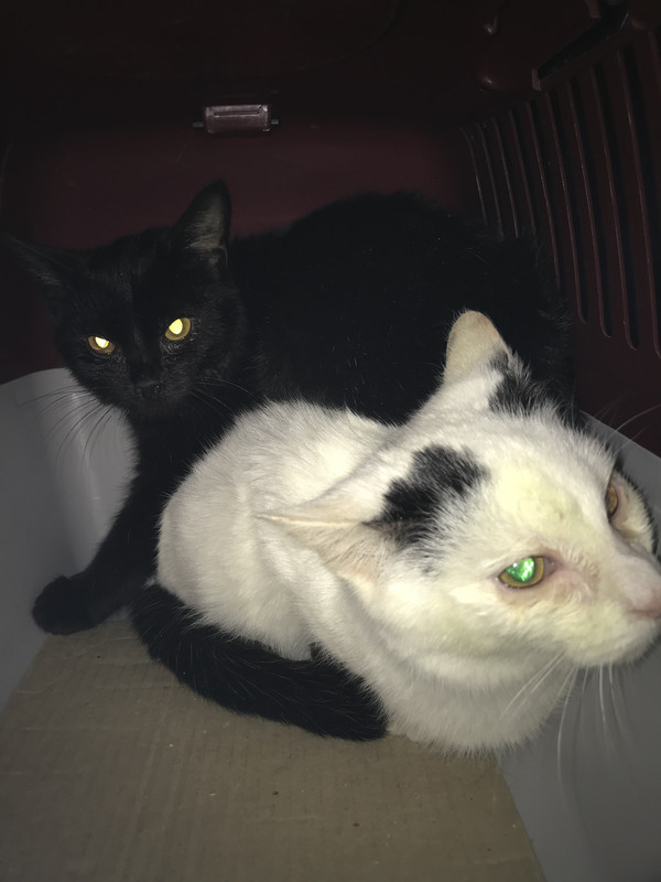 C05DDEB5-0132-4139-8D4E-4B5628ED8A7E