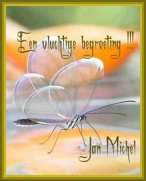 Vluchtig.jpg<BR