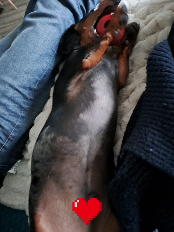 [Image: 20240119-165424.jpg]