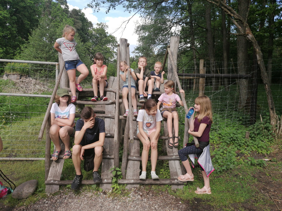 10.33 - IMG_20210604_154451 (Czesio1)