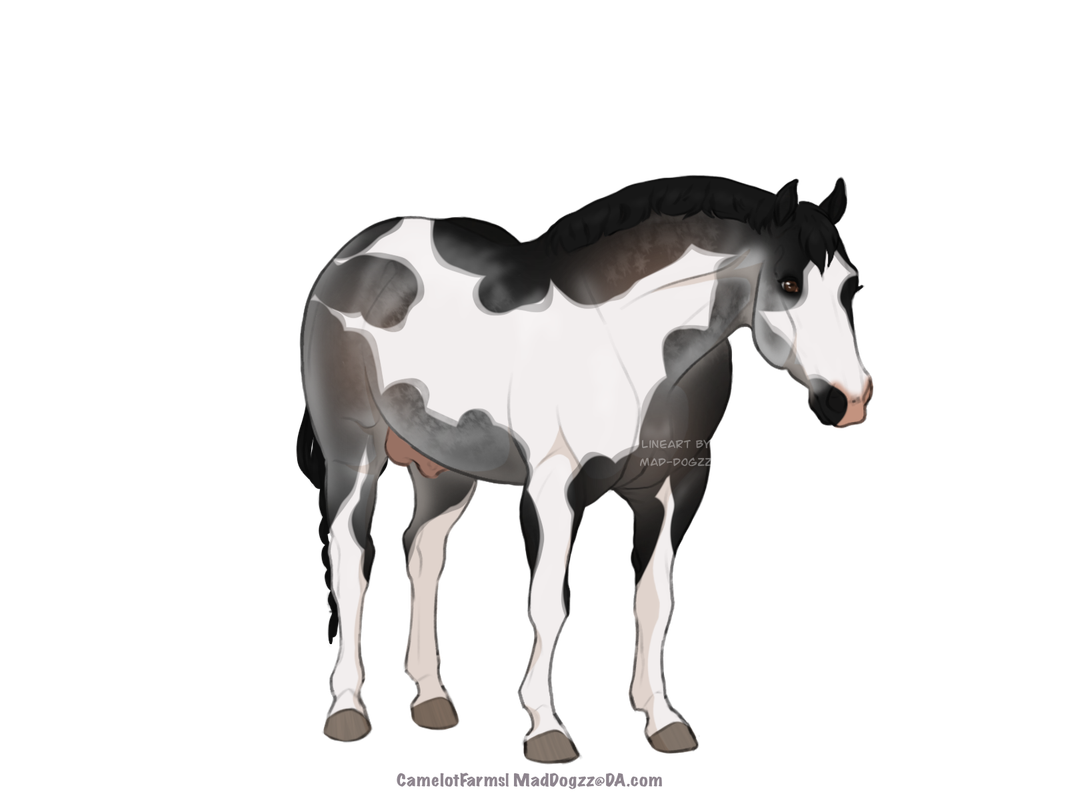 FE66CF7F-7B0A-4859-9D30-35CC2B2C26F2