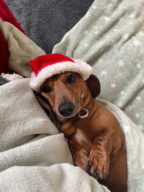 [Image: IMG-42061.jpg]