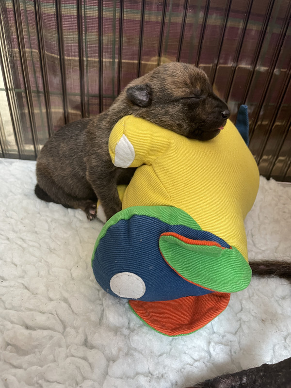 2CF426EE-E3C0-4735-9EF1-C5D3BA757E77