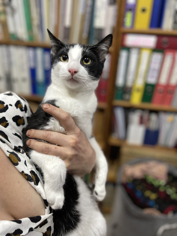 EE5FCB13-62C1-46D9-987B-ABE125DD4C7D