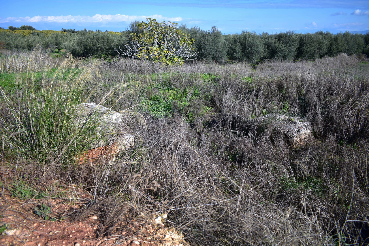Αρχαία Σικυώνα (42)
