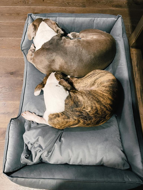 4A960EF0-D1C3-40D1-AE32-9E64B7C330CD