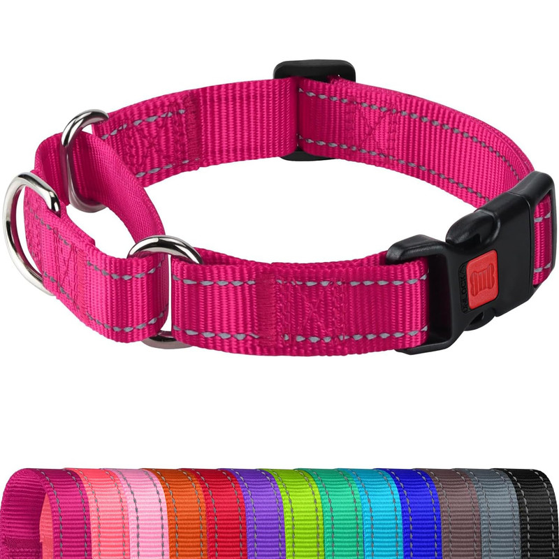 Joytale Martingale Collar Reflective Escape Proof Medium