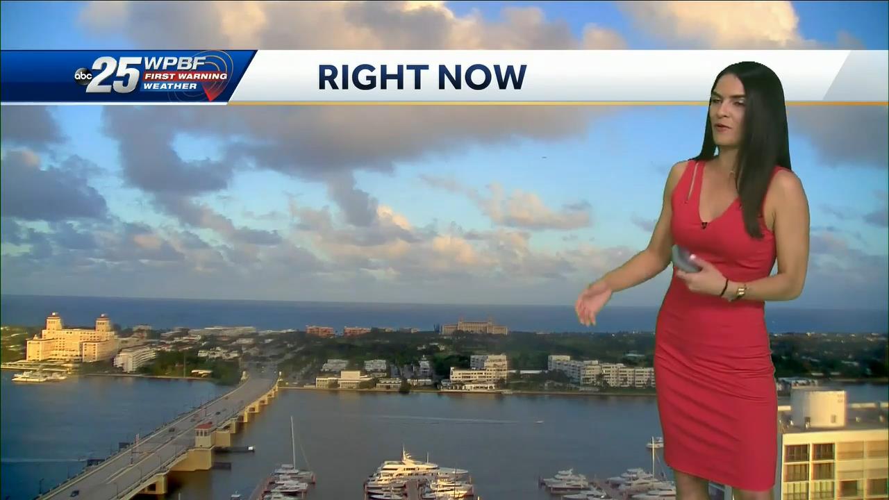 11.22 - 22.00.00 - Wpbf 25 News At 5 00.-1.m4v_snapshot_00.07.10_[2020.11.23_14.32.04]