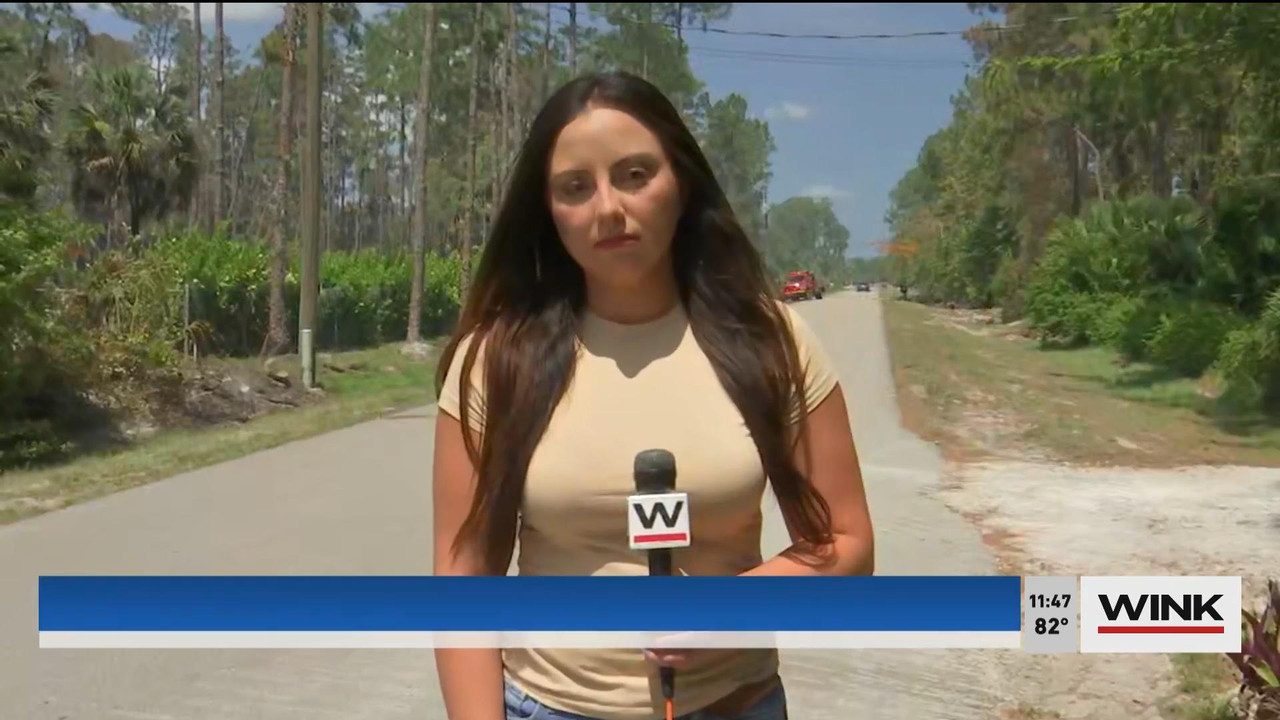 05.23 - 16.30.00 - WINK News @ 11 30AM. Local news, sports and weathe....ts_snapshot_14.39_[2021.05.