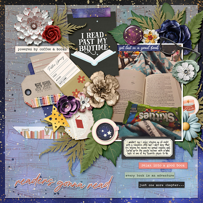 FDD-This-Time-of-the-Year-Traci-Reed-Bookish-Ex-Libris-Galaxias-copy.jpg