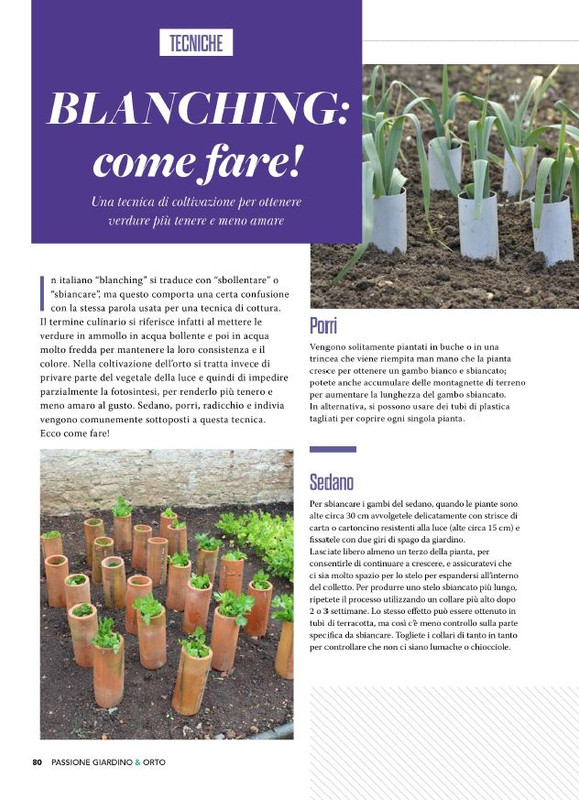 Pass Giar e Orto Lug 2025 (7)