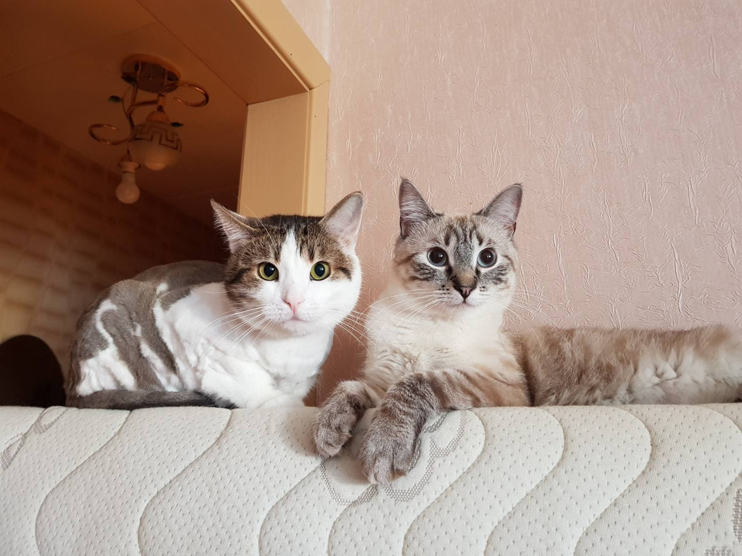 IMG-96eb039d7a5b3c990542e52f03eacc62-V