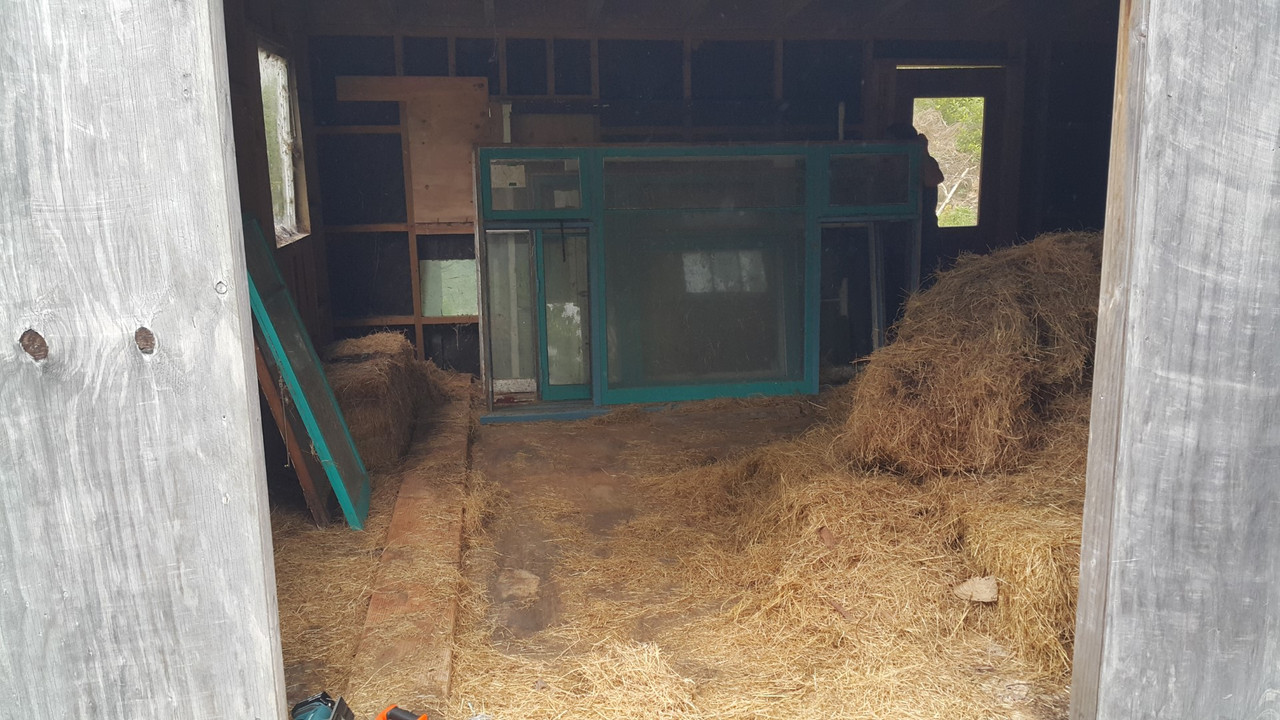 20201018_142117 (Large)