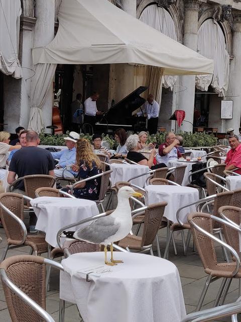 10 días por Eslovenia, Croacia y Bosnia con 3 niños. - Blogs de Europa Oriental - Lunes: Visitamos Venecia (24)