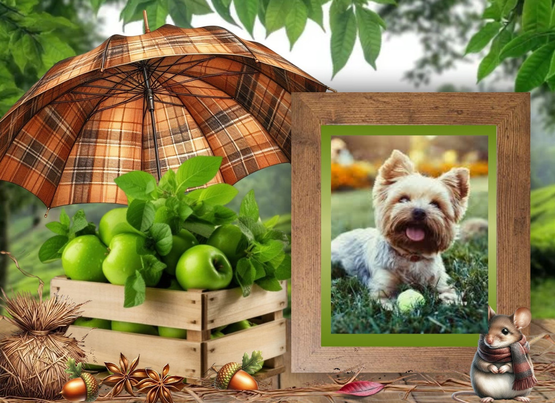 imikimi zo photo (5)