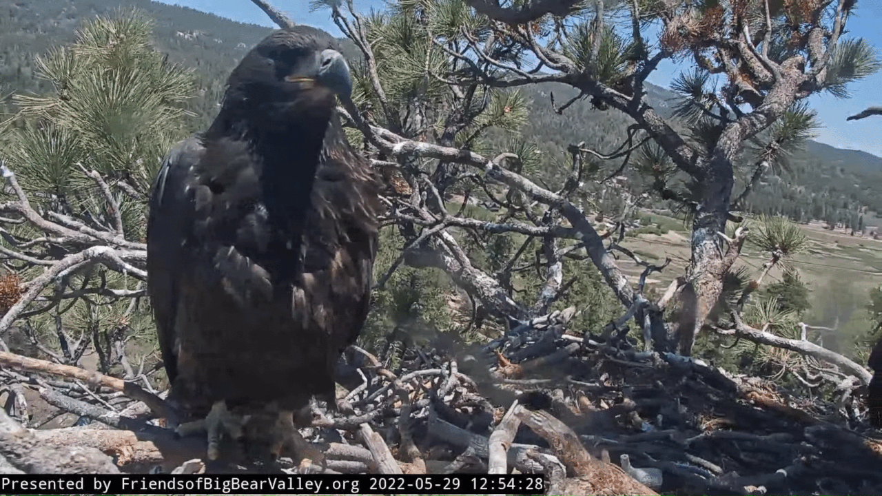 Webp.net-gifmaker (4)