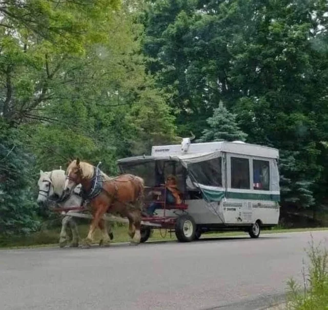 HORSE TRAILER
