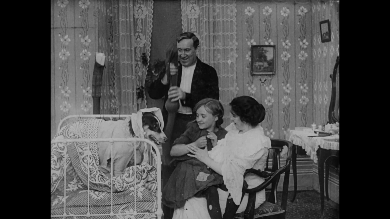 vlcsnap-2024-08-12-11h51m47s071 - Copy