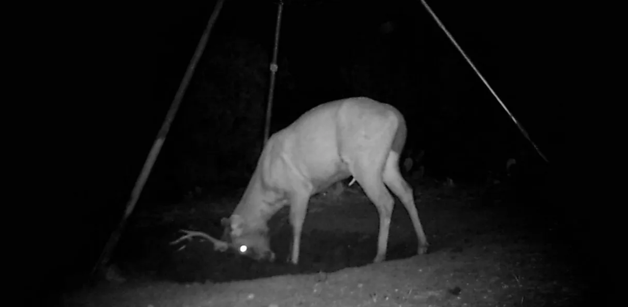 Screen Shot 2026 03 24 at 11 23 57 PM