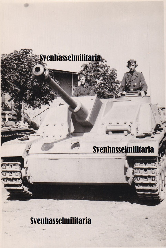 Elite Panzer Div Lah Stug Sturmgeschütz Abt1 Kom