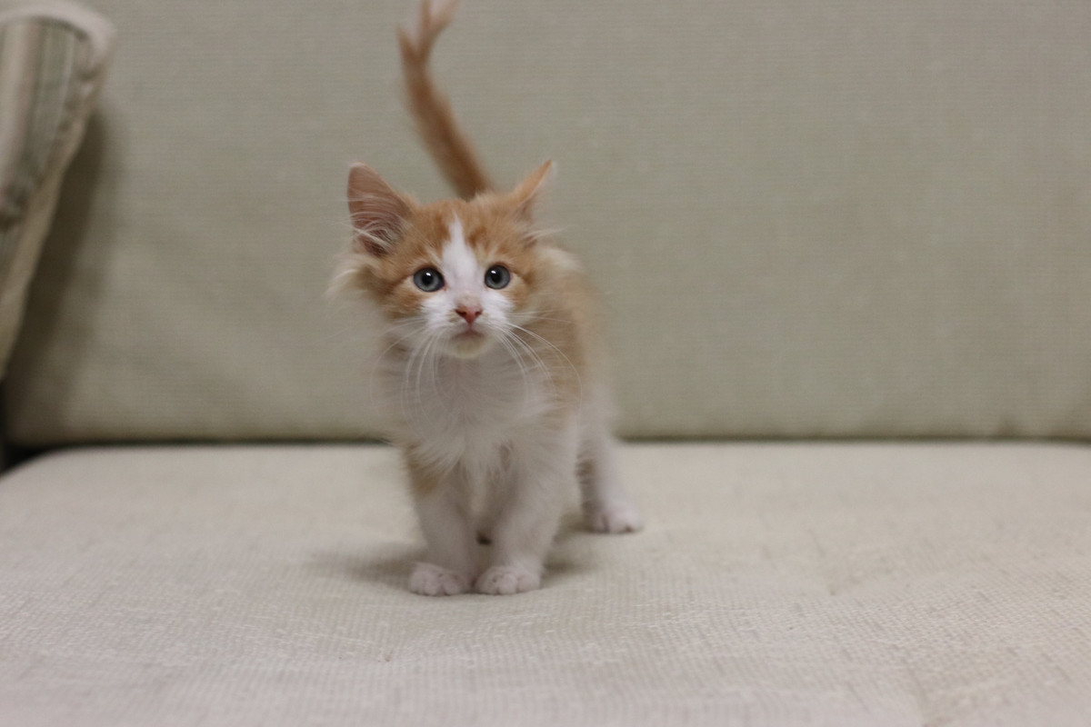 B29D152D-AEF0-4FC8-BFD6-890D5726F259