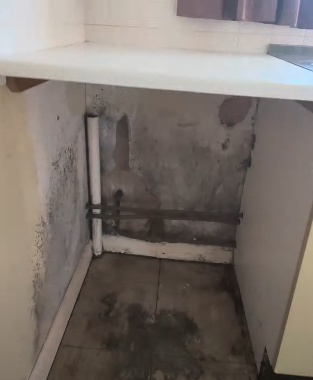 Screenshot 2026 03 11 at 13 32 44