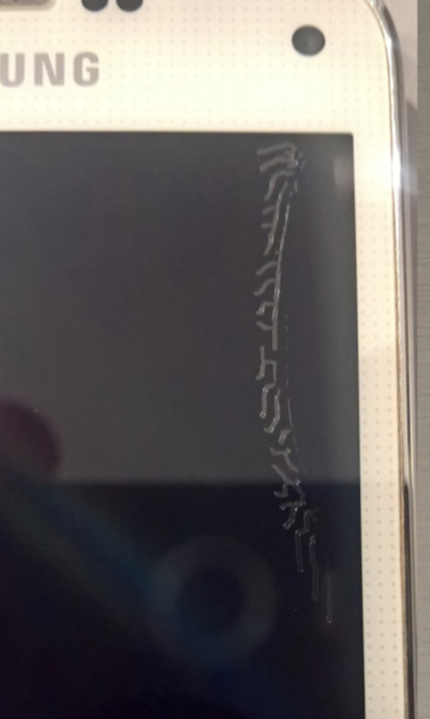 D2AAF586-F239-4F7F-9AAB-A2B14FA88DEB