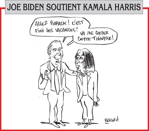 text alternatif