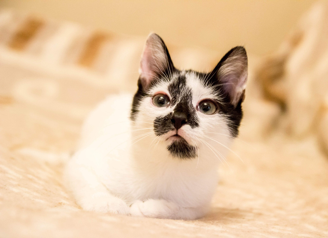 подросток-1-4