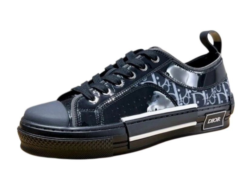 Dior B23 Low Top